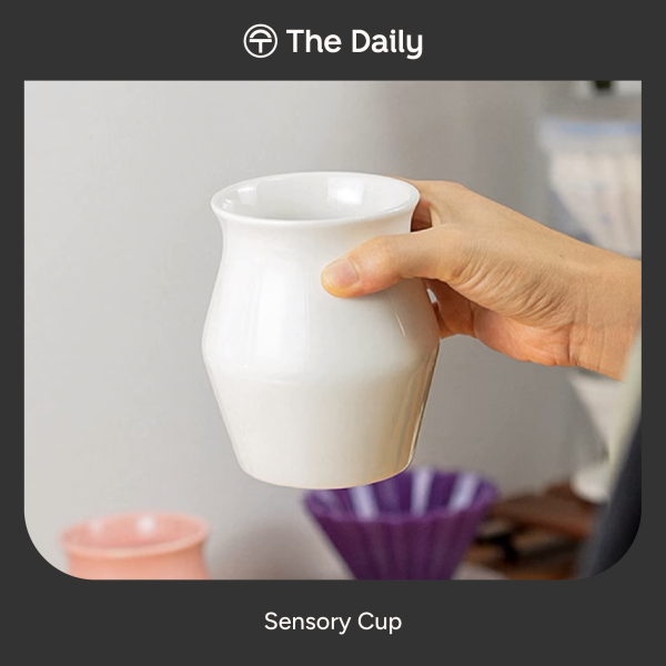 TheDailyContent-19_Sensory Cup-22