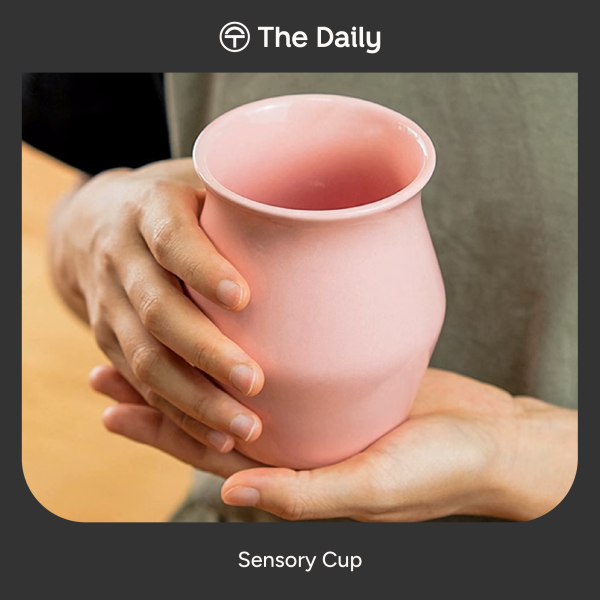 TheDailyContent-19_Sensory Cup-23