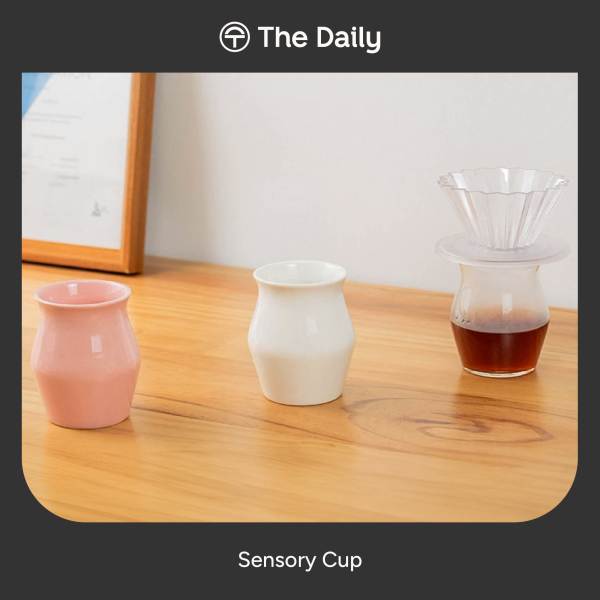 TheDailyContent-19_Sensory Cup-25