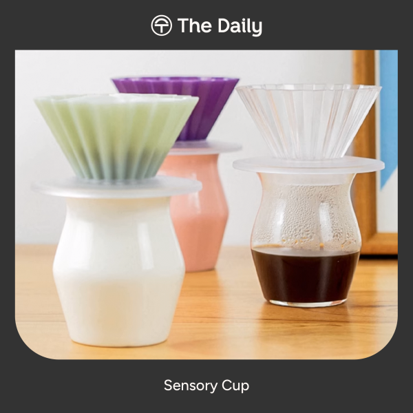 TheDailyContent-19_Sensory Cup-26